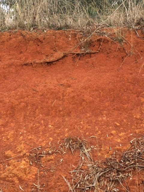Free-draining red soils